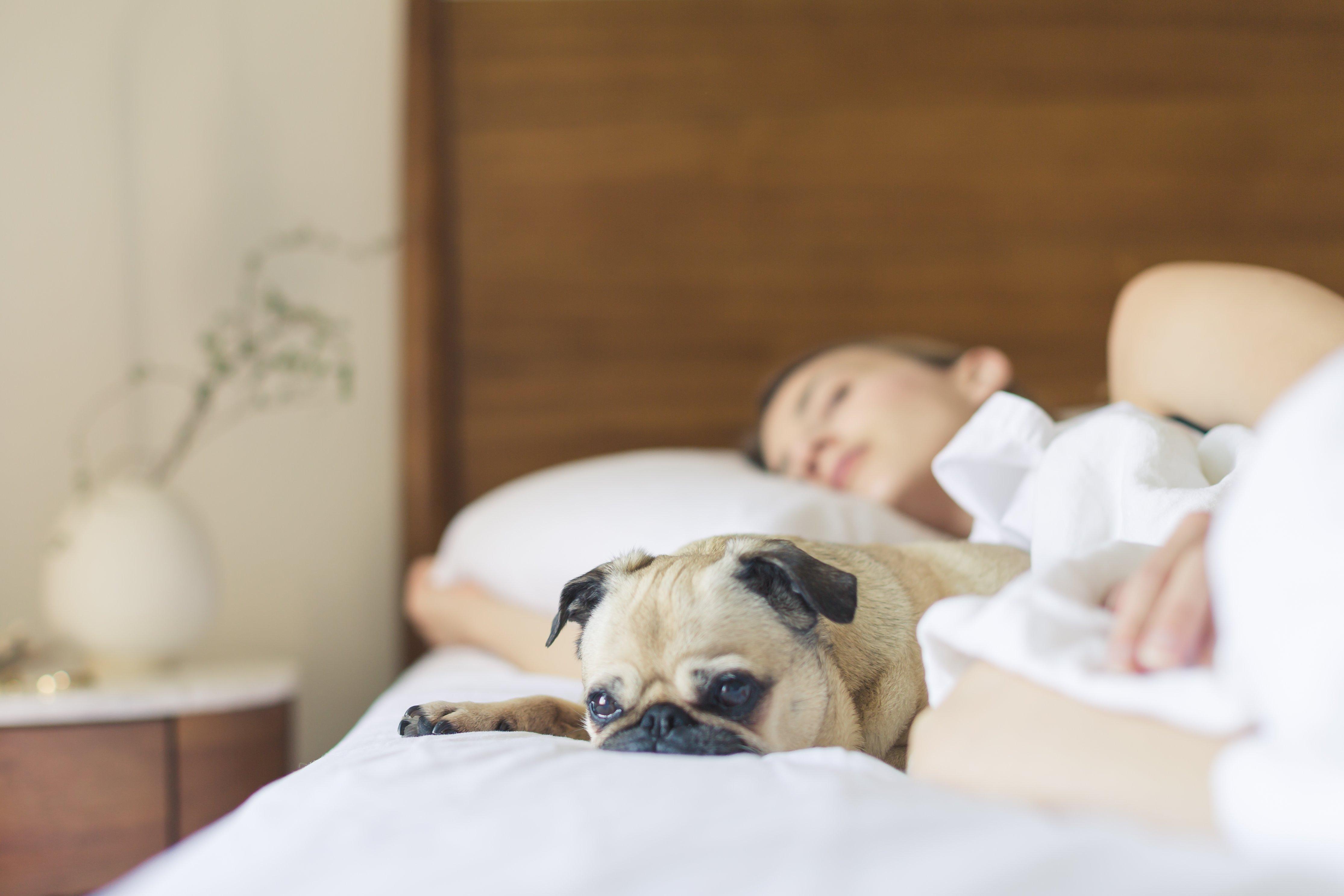 Holiday Inn Express Tucson-Airport By Ihg Ngoại thất bức ảnh